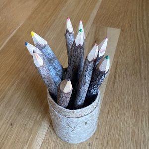 10 Ct. Twig Tree Branch Stick Wood Colored Pencils in Recycled Paper Storage Cup